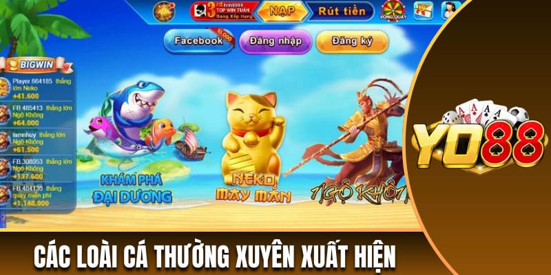 Các loài cá thường xuyên trở thành mục tiêu của người chơi