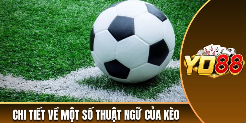 Chi tiết về một số thuật ngữ của kèo
